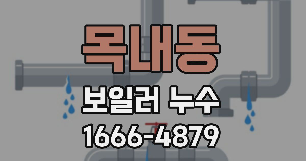 목내동 보일러 누수