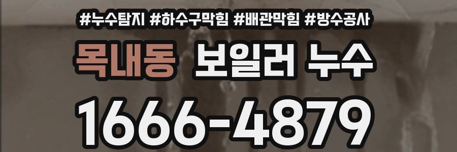 목내동 보일러 누수