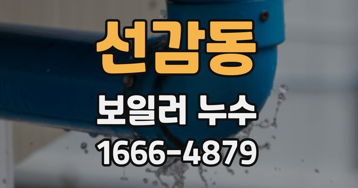 선감동 보일러 누수