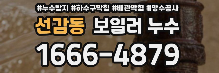 선감동 보일러 누수