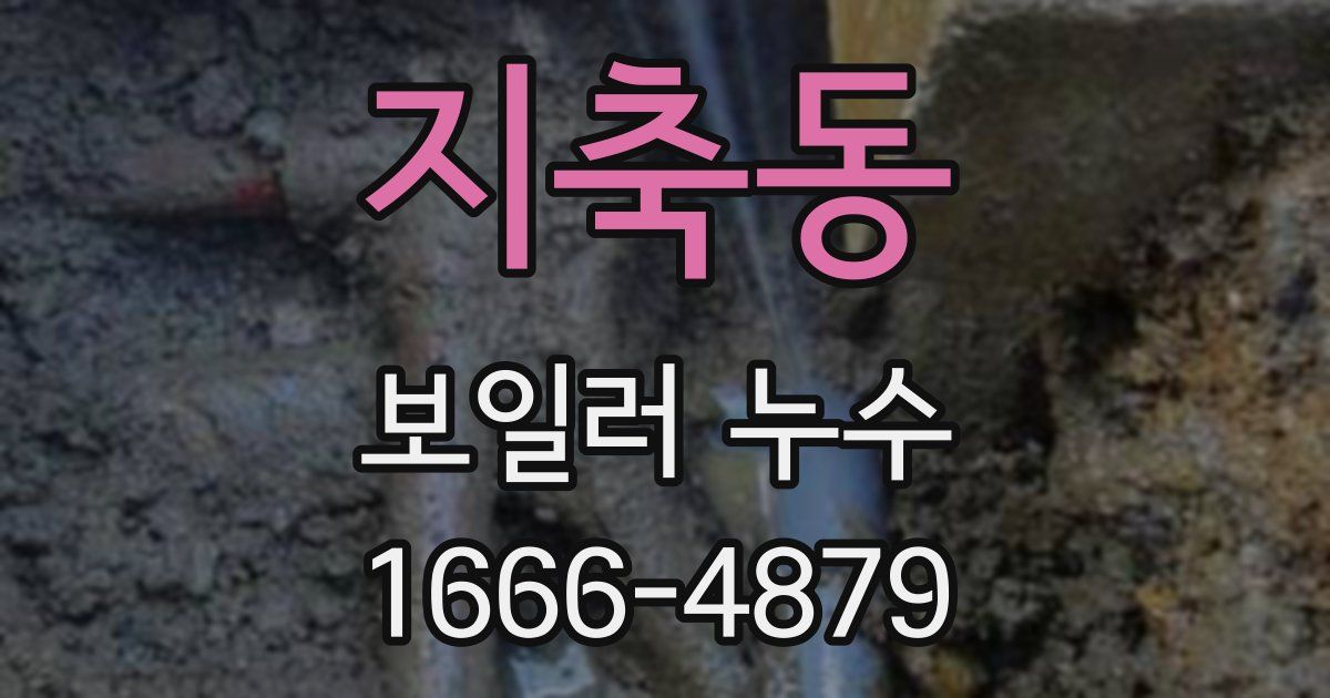 지축동 보일러 누수