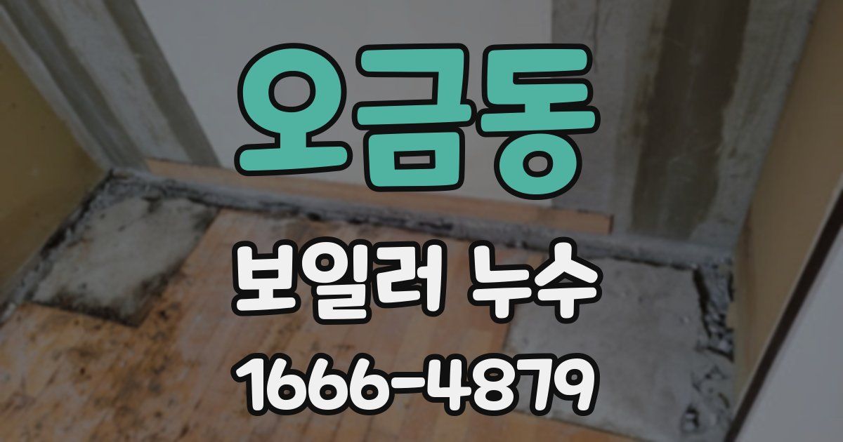 오금동 보일러 누수