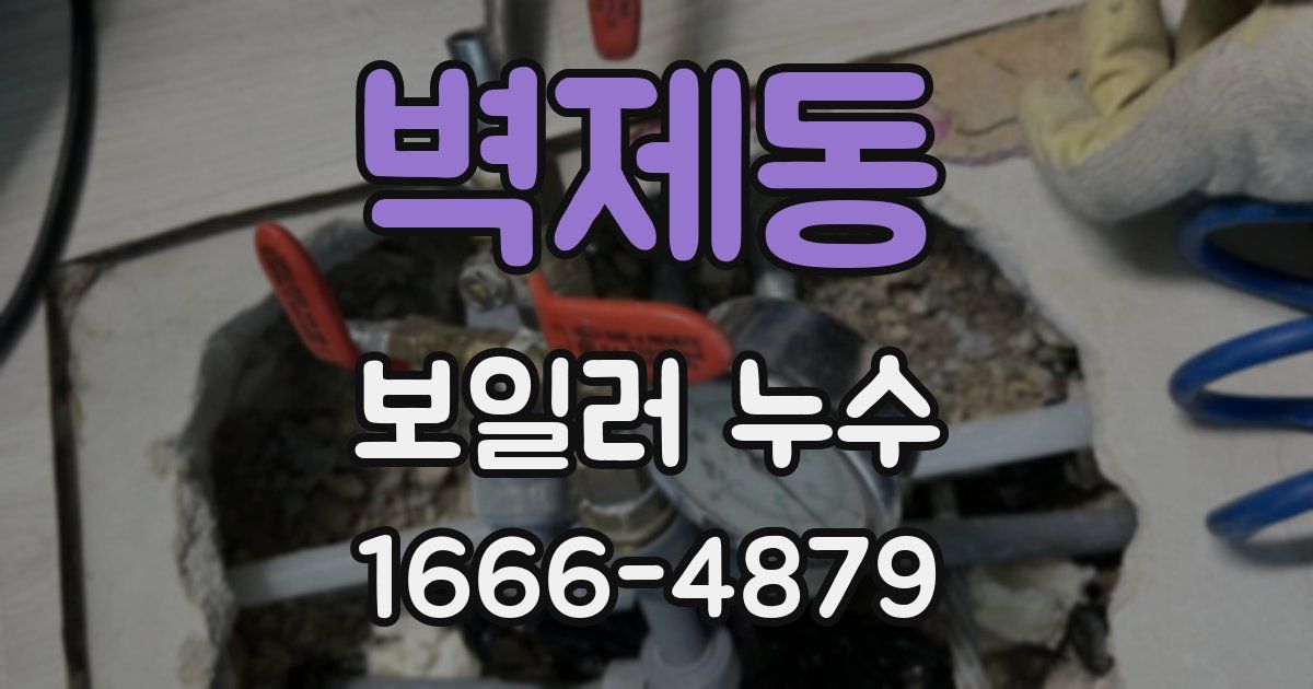 벽제동 보일러 누수