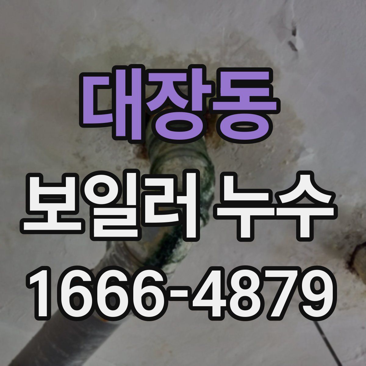 대장동 보일러 누수