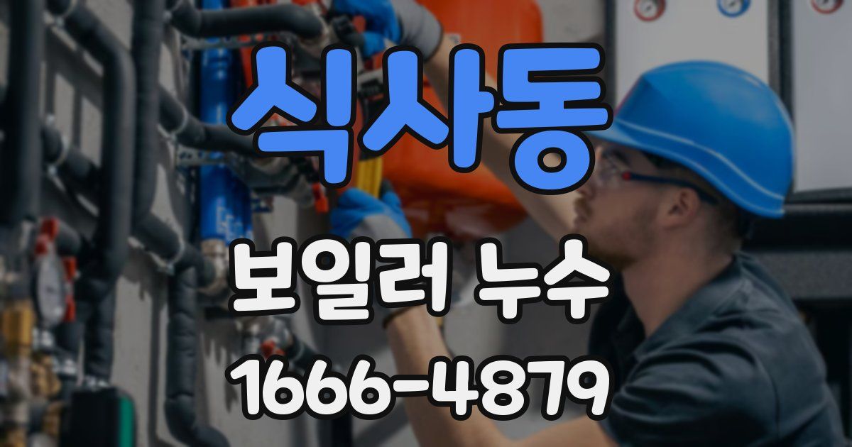 식사동 보일러 누수