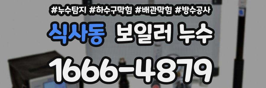 식사동 보일러 누수