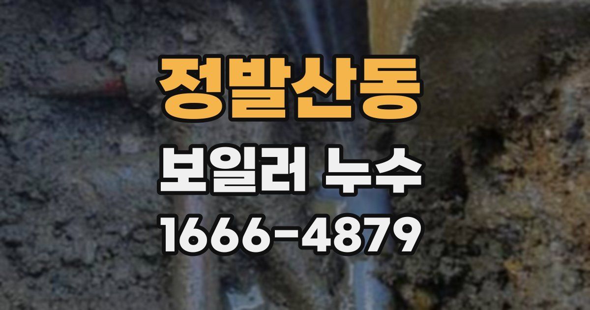정발산동 보일러 누수