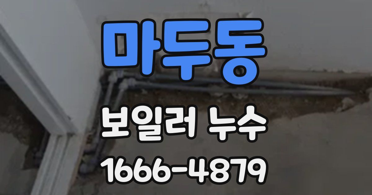 마두동 보일러 누수