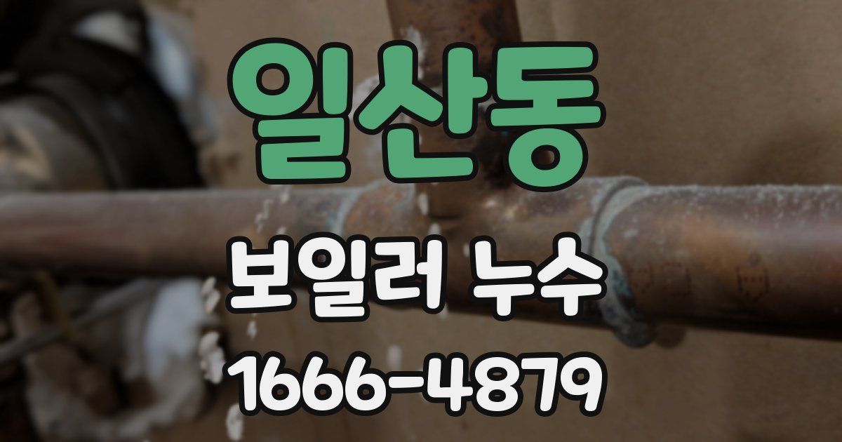 일산동 보일러 누수