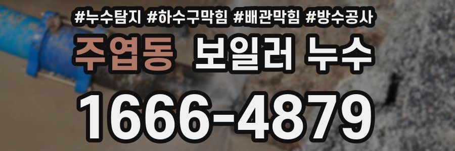 주엽동 보일러 누수