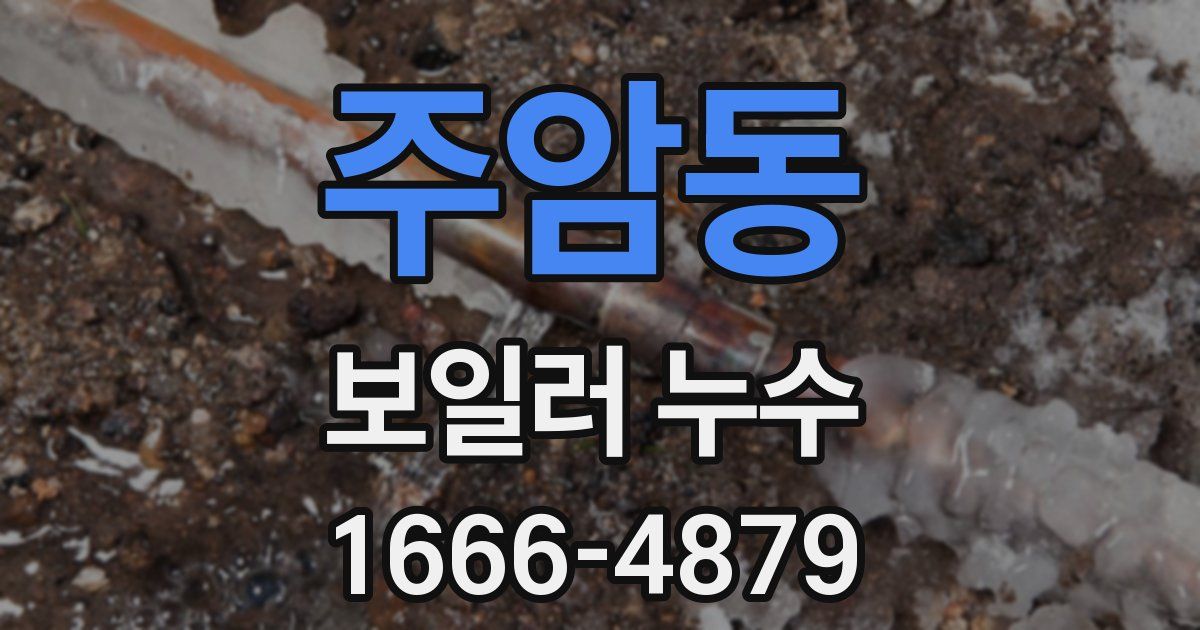 주암동 보일러 누수