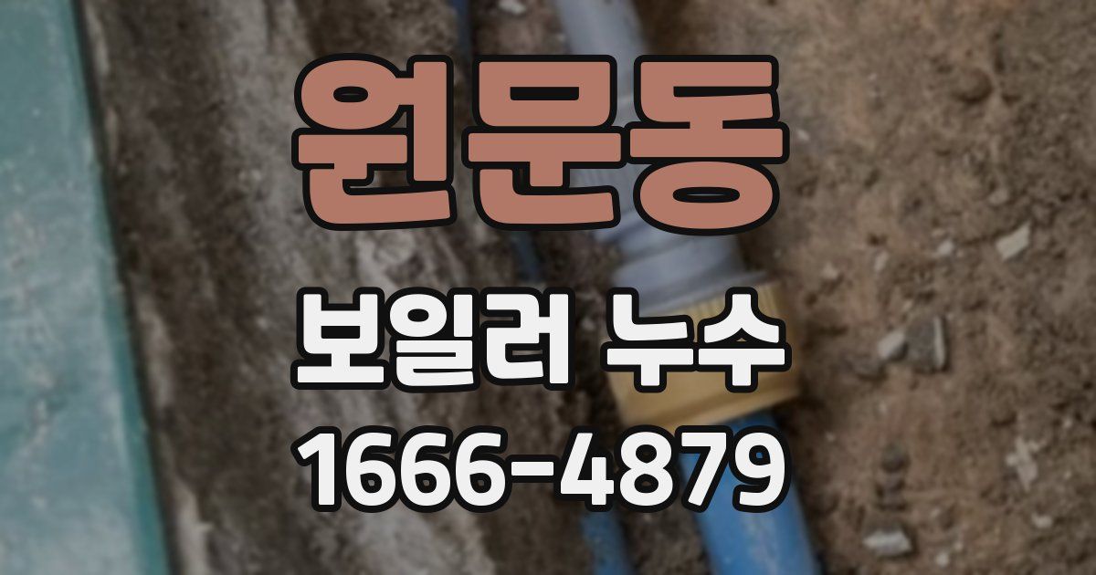 원문동 보일러 누수