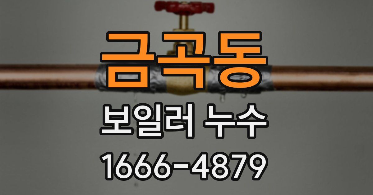 금곡동 보일러 누수