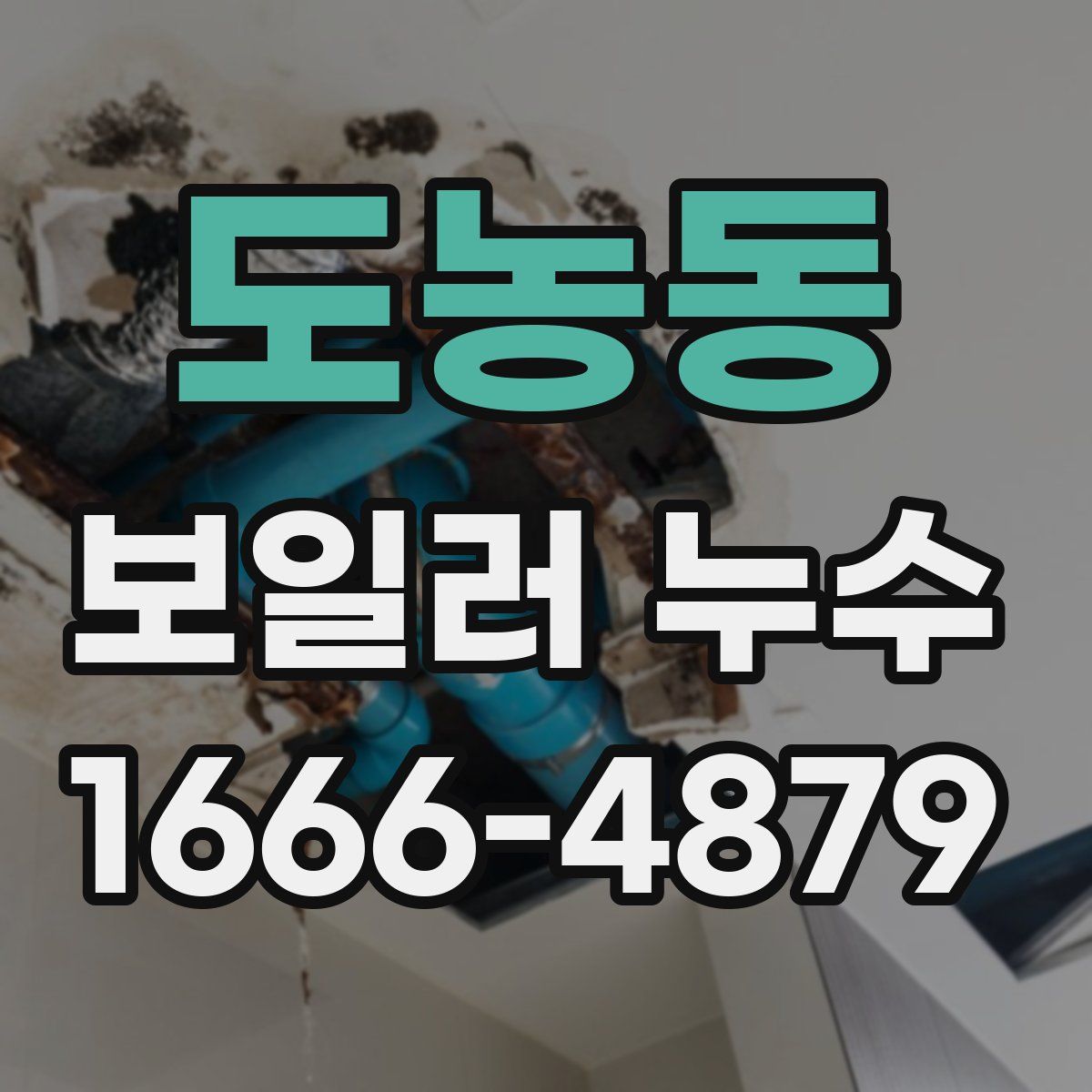 도농동 보일러 누수