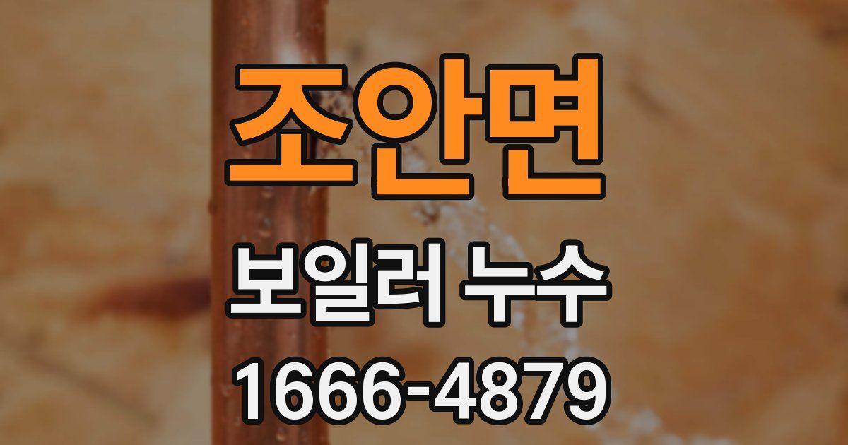 조안면 보일러 누수