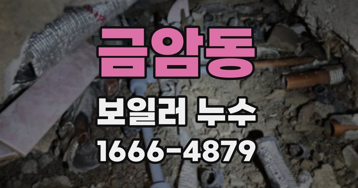 금암동 보일러 누수