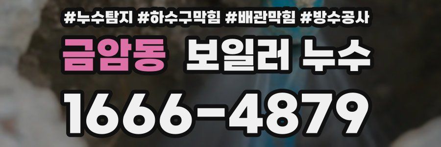 금암동 보일러 누수