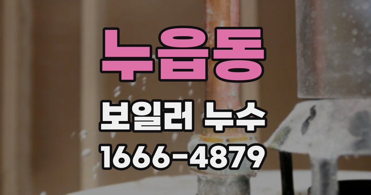 누읍동 보일러 누수