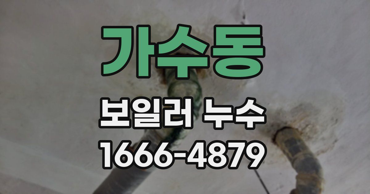 가수동 보일러 누수