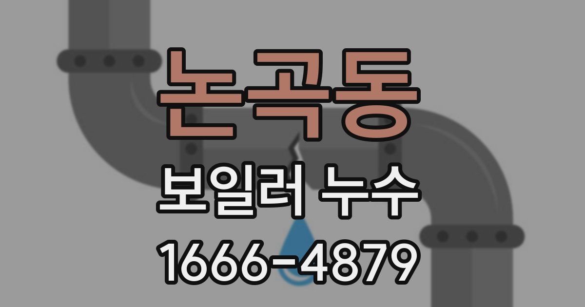논곡동 보일러 누수