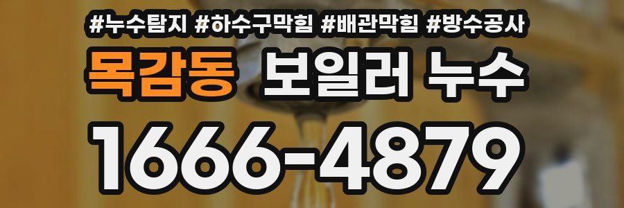 목감동 보일러 누수