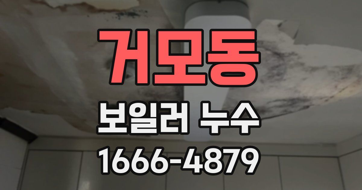 거모동 보일러 누수
