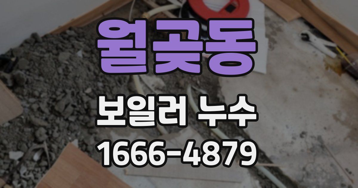 월곶동 보일러 누수