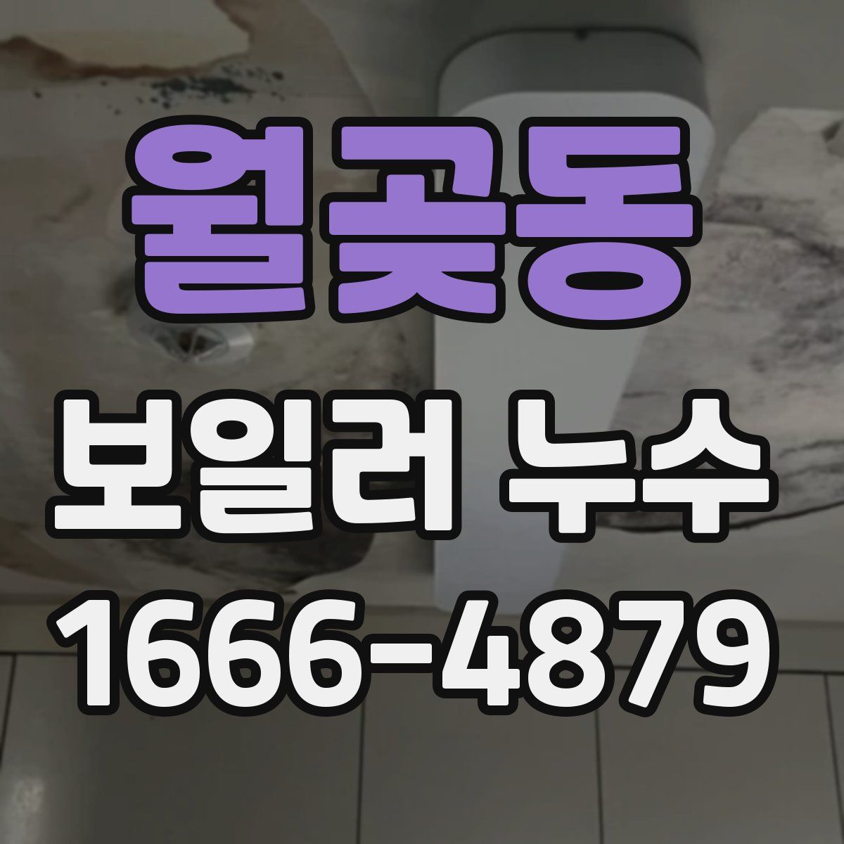 월곶동 보일러 누수