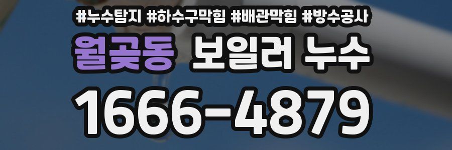 월곶동 보일러 누수