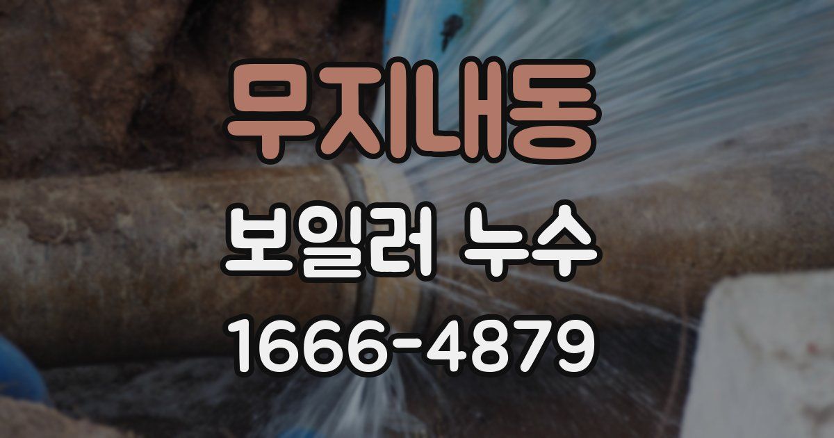 무지내동 보일러 누수
