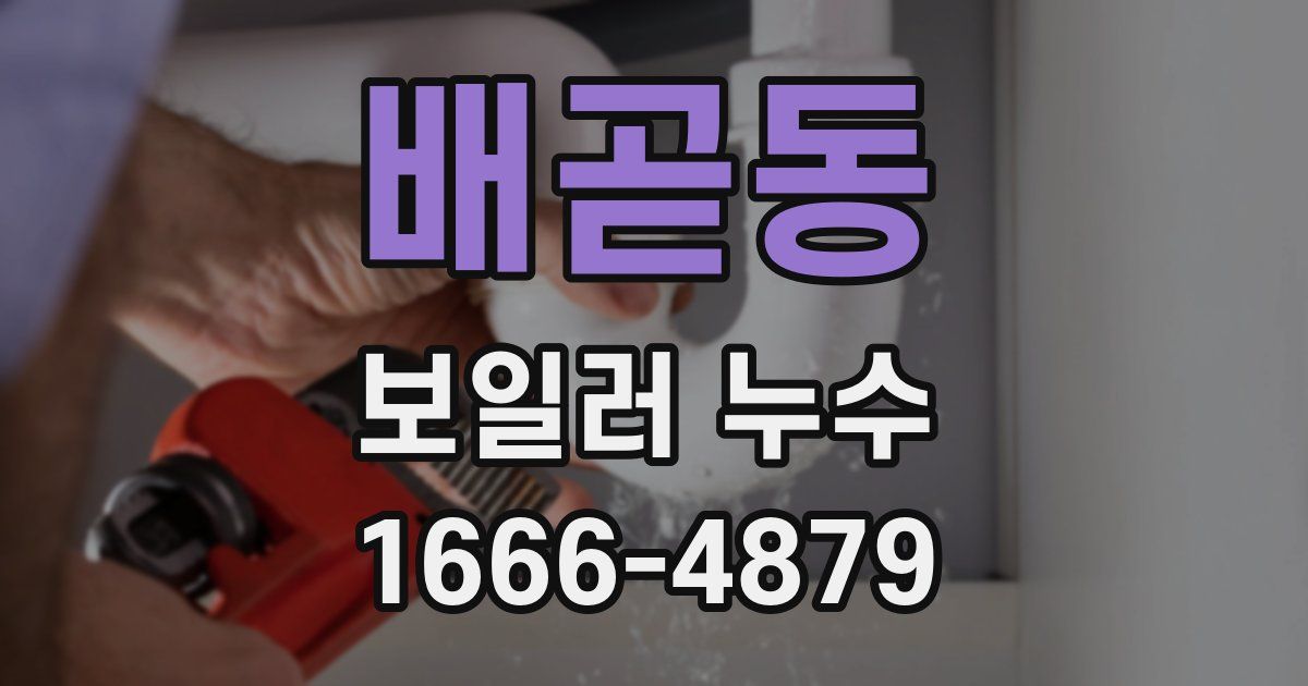 배곧동 보일러 누수