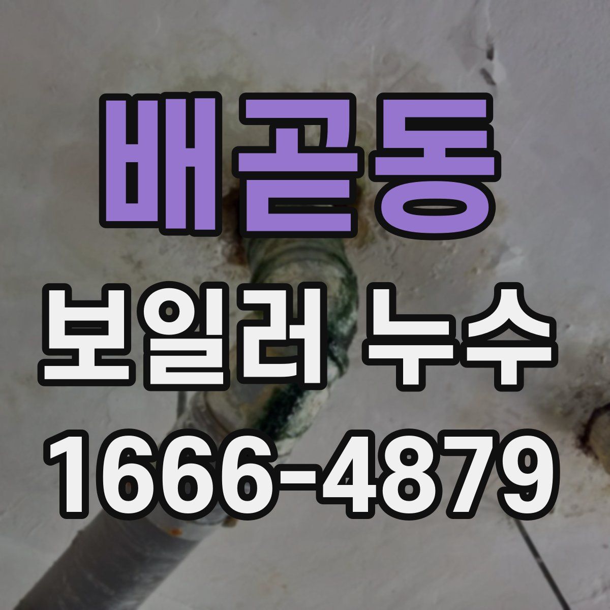 배곧동 보일러 누수