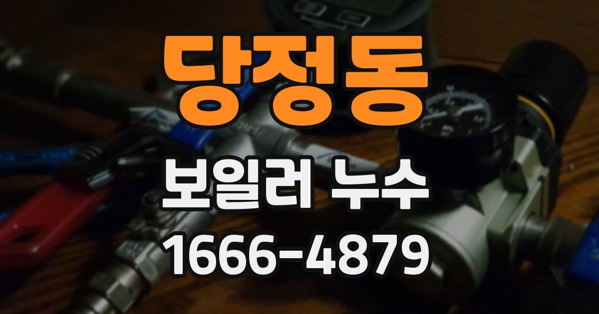 당정동 보일러 누수