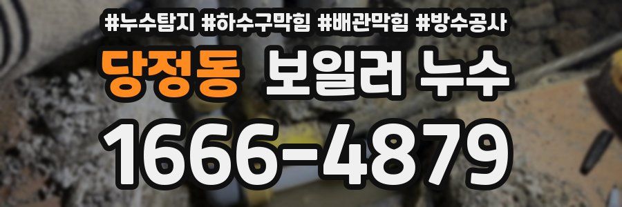 당정동 보일러 누수