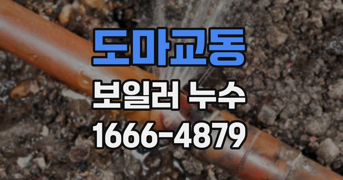 도마교동 보일러 누수