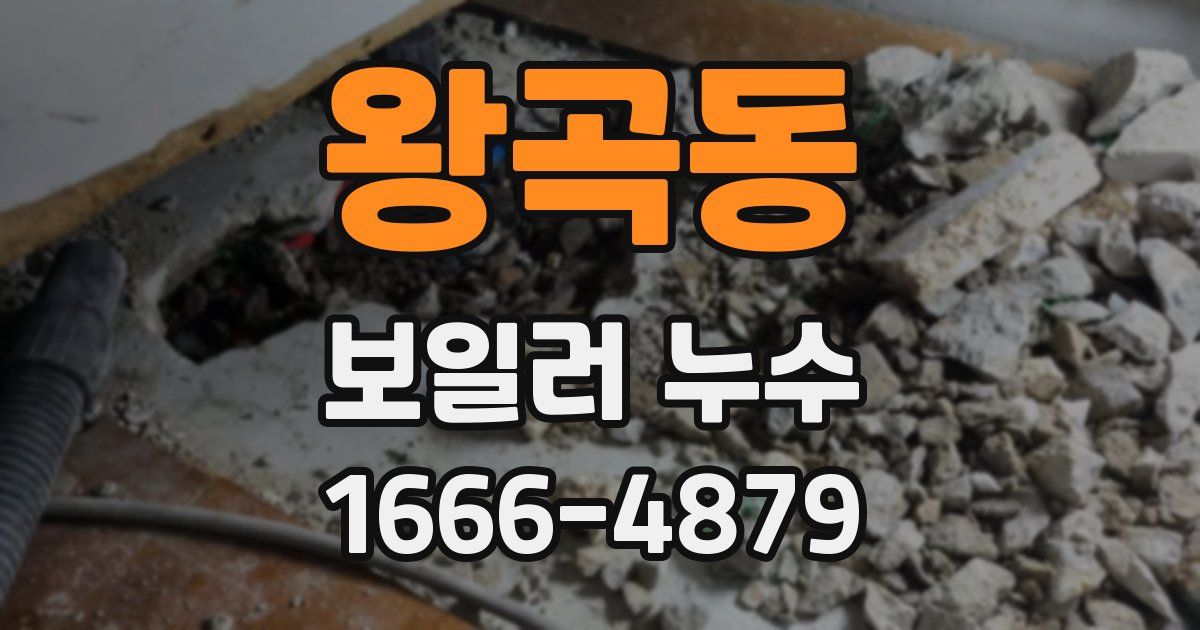 왕곡동 보일러 누수