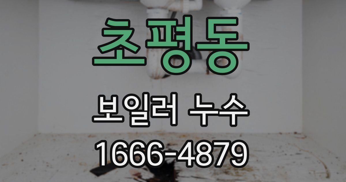 초평동 보일러 누수