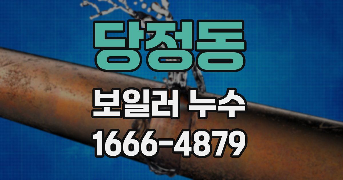 당정동 보일러 누수