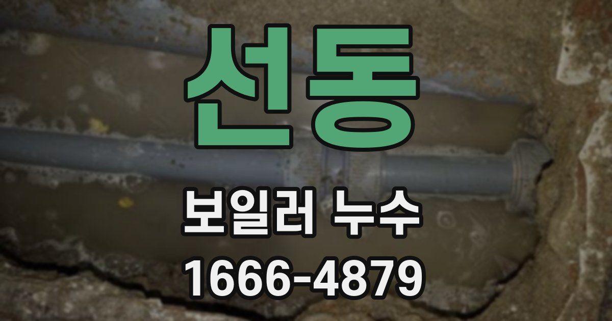 선동 보일러 누수