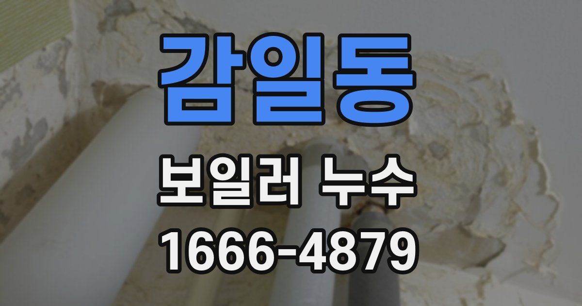 감일동 보일러 누수