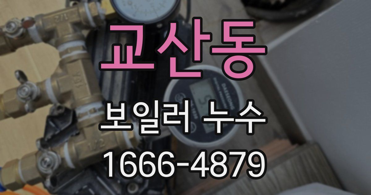 교산동 보일러 누수