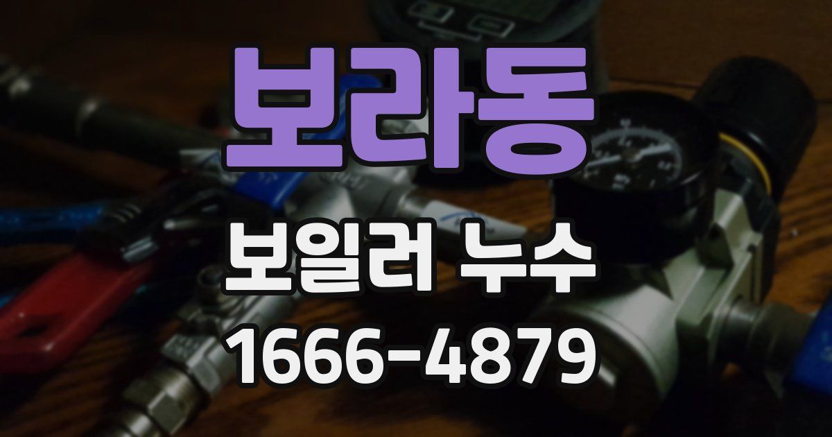 보라동 보일러 누수