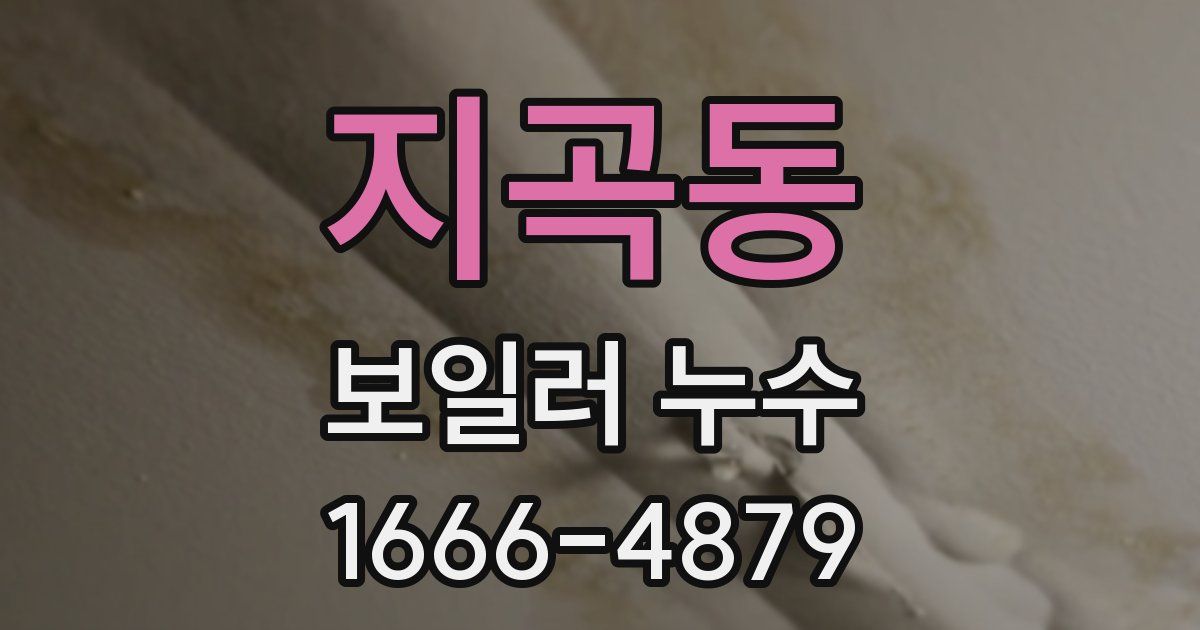 지곡동 보일러 누수