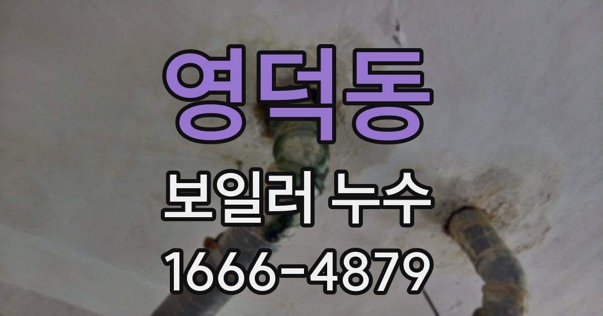 영덕동 보일러 누수