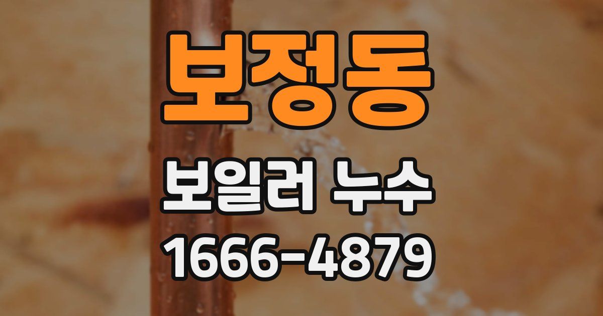 보정동 보일러 누수