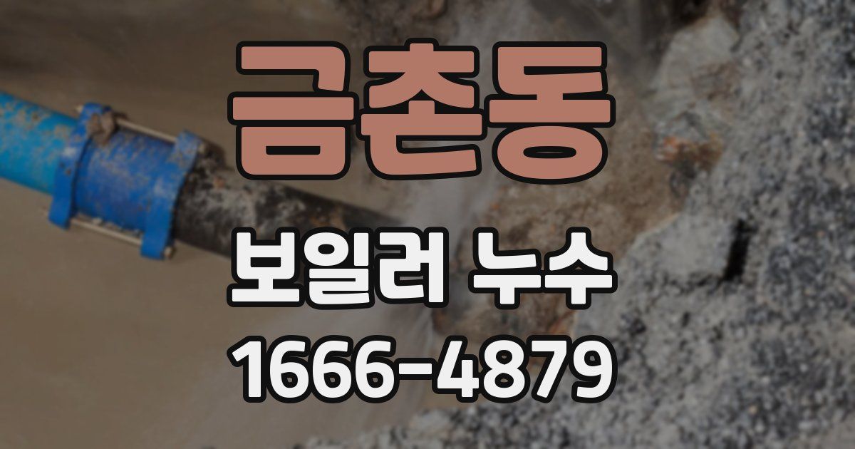 금촌동 보일러 누수