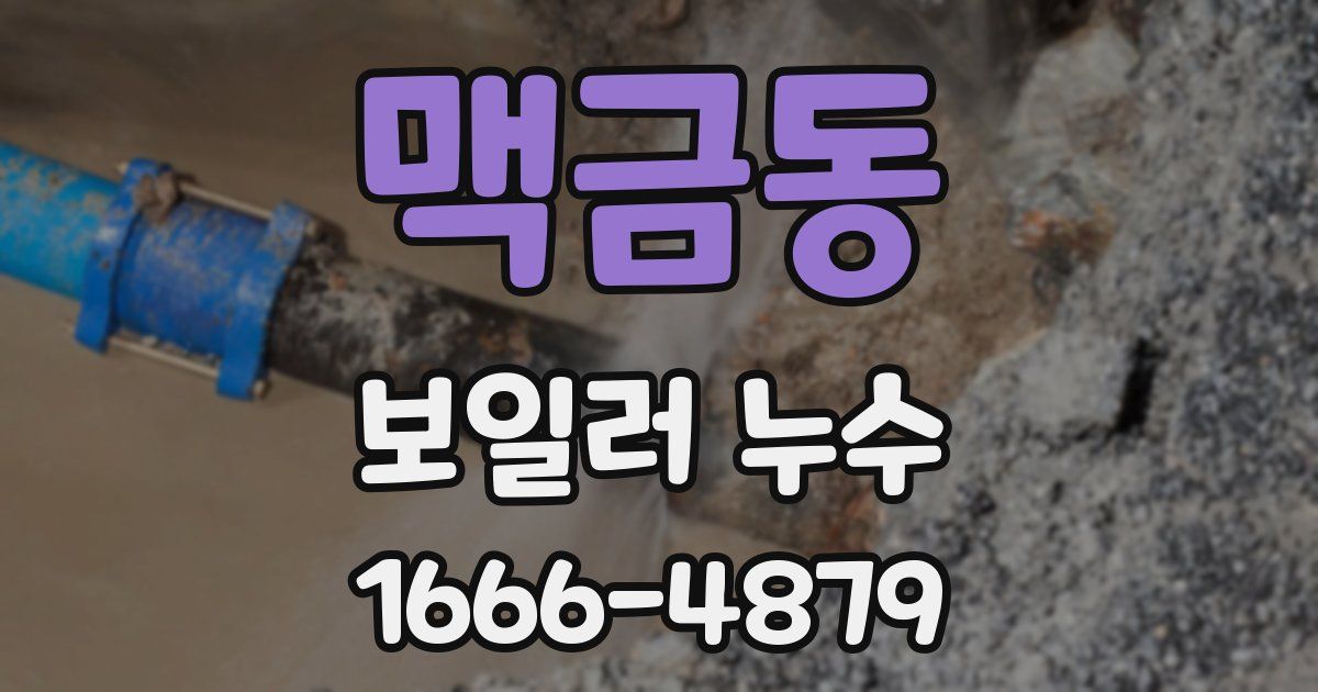 맥금동 보일러 누수