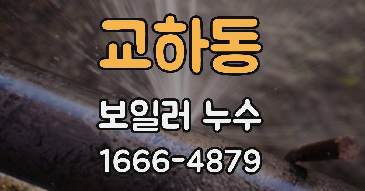 교하동 보일러 누수
