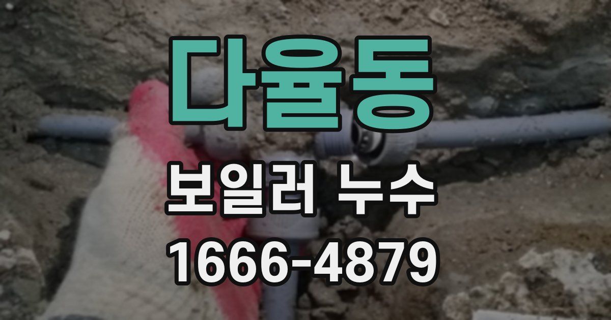 다율동 보일러 누수