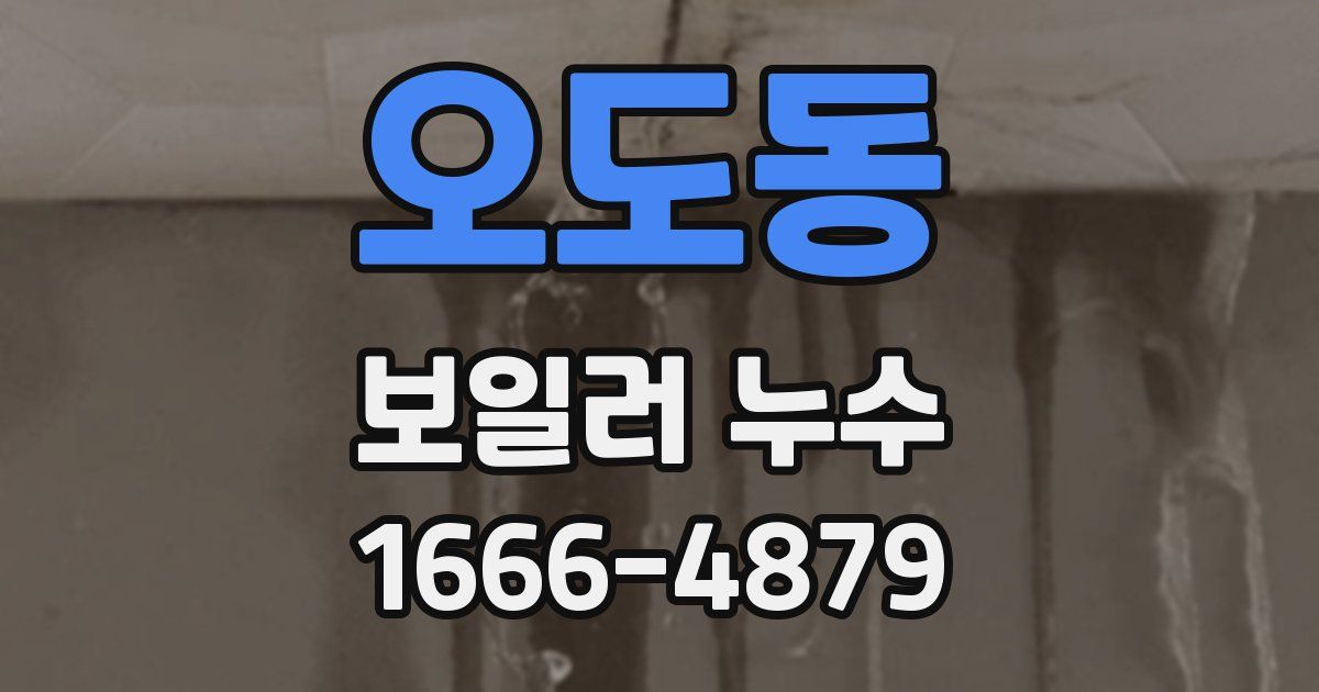 오도동 보일러 누수